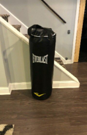 Everlast Big Punching Bag 100lb
