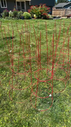 Red tomato cages-PENDING