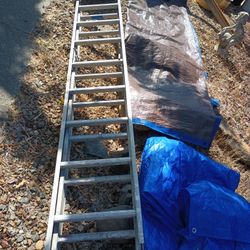 Ladder