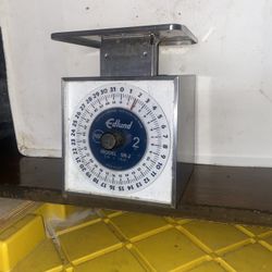 Scale Stainless Steel Portion.. Plate. 