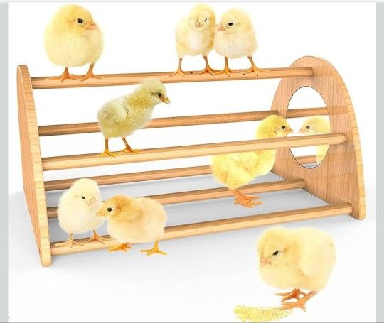 Bamboo Chicken Perch with Mirror, Strong Roosting Bar for coop and brooder, Trai