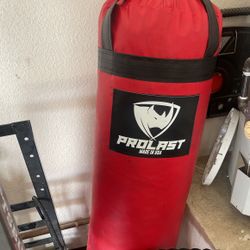 Prolast punching bag 