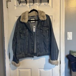 Jean Jacket Hollister Brand 