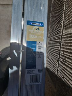 Werner Ladder 