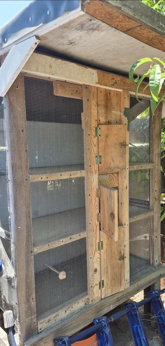 Bird Cage