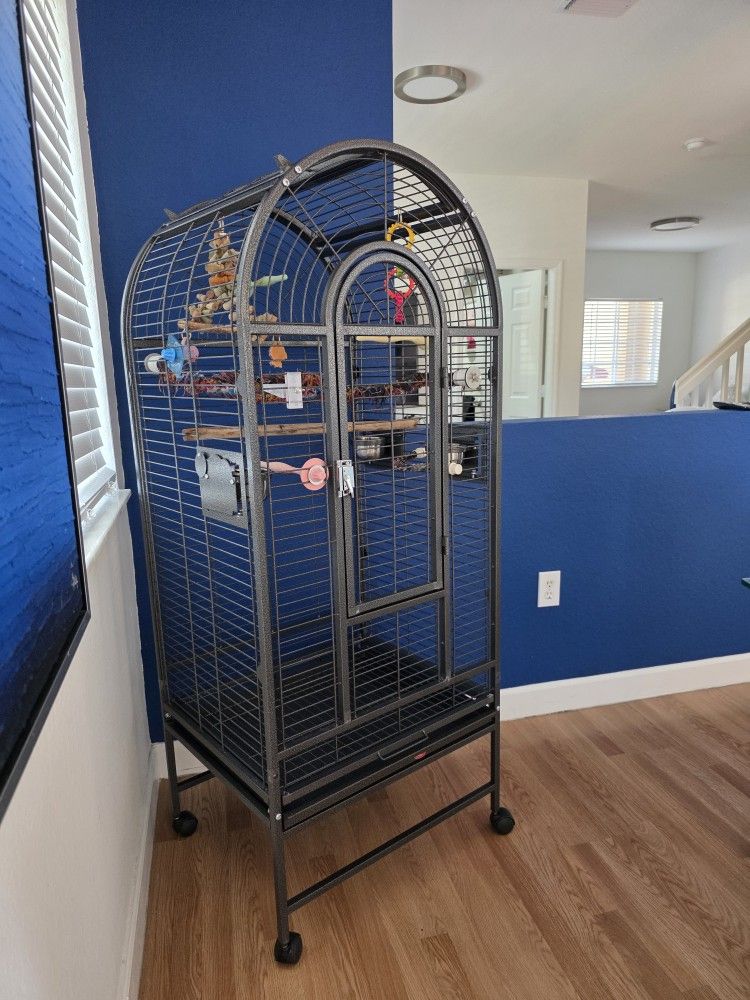 Bird Cage