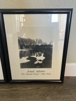 Angel Adams. The Mural project 1(contact info removed) framed picture