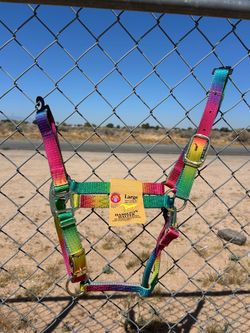 Horse Halter Rainbow Colorful New Size Large 1100-1600 pound