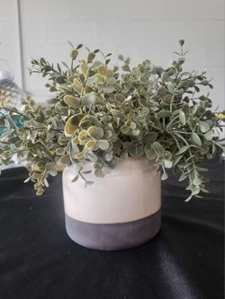 Decore