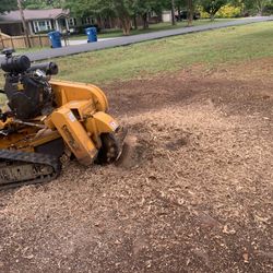 Stump Grinder