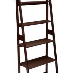 Amazon Basics Ladder Bookshelf Organizer