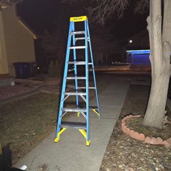 8 Foot Werner Ladder