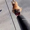 Wyatt’s Clips