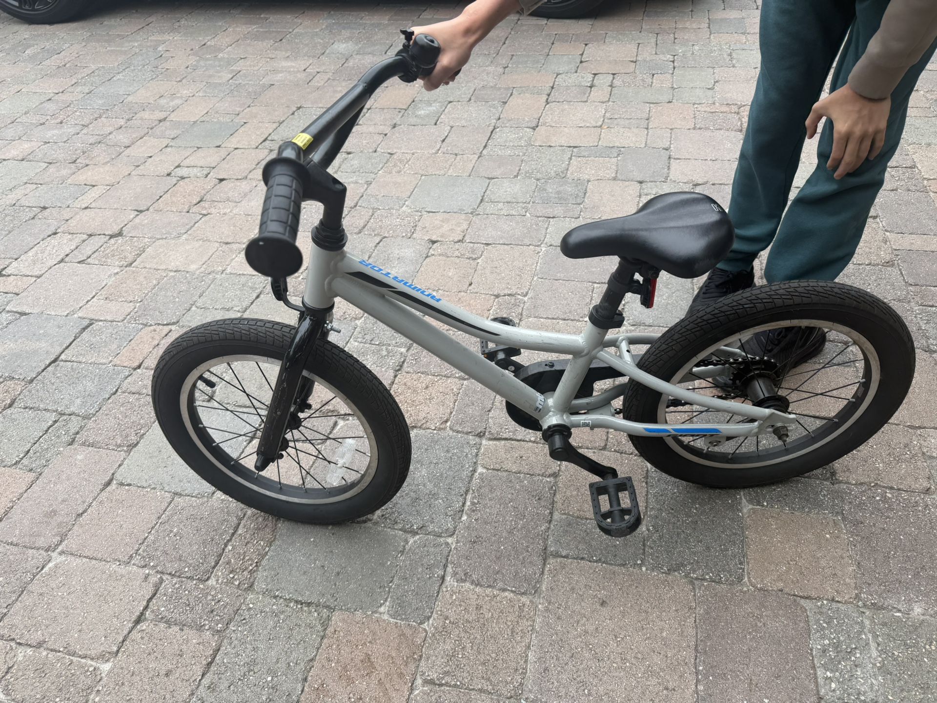 Giant Animator Kids Bike