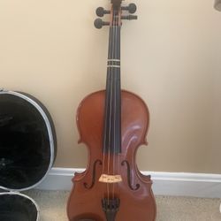 Violin For Adult 