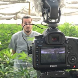 Rode Video Mic Pro Stereo