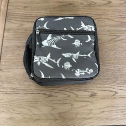 Pottery Barn Glow In The Dark Bones Lunchbox