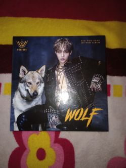 Rare OOP Kim Woo Sung Wolf 1st Mini Album