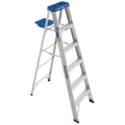 6 Foot Aluminum Ladder