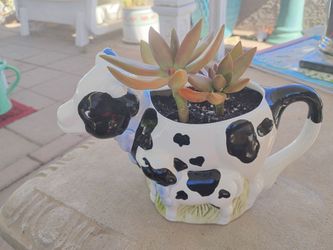 Ceramic Cow Planter