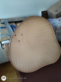 celling fan