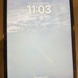 iPad 9th Generation Unlocked  256gb Cellular (CASH ONLY) 