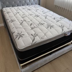 Queen Mattress And Box Spring 