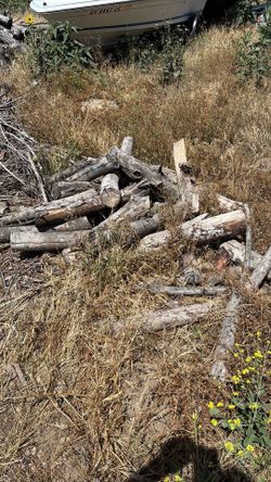 Seasoned fire wood