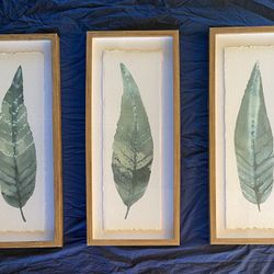 Decor Frames 