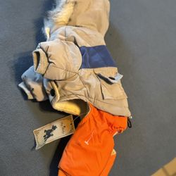 Abrigo Mascota Small Para Yorky O Chihuahua Mini Northeast Por Mccombs