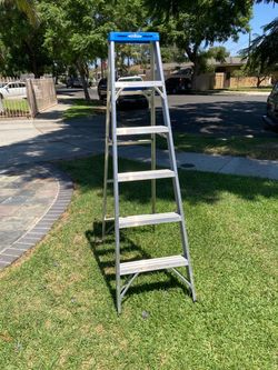 Ladder 6 feet