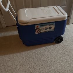 Cooler 