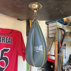 Speed Bag 