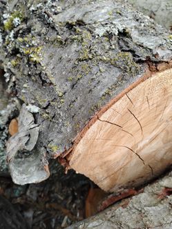 1/2 cord dry split cherry firewood