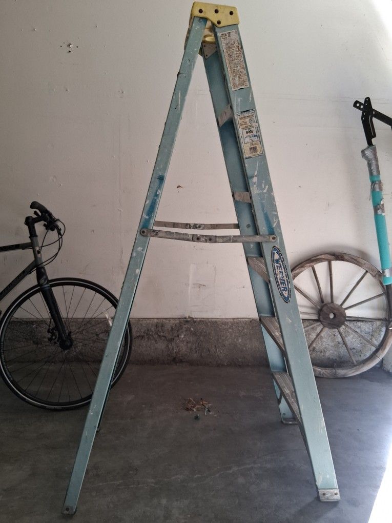 Ladder Werner