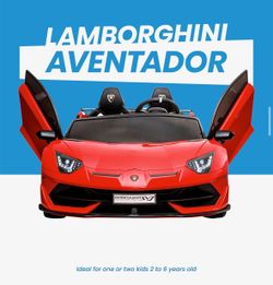 Toy Lamborghini Remote Controller
