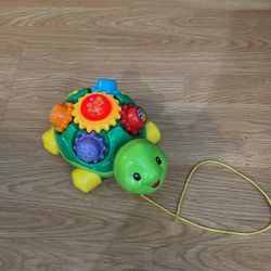 Vetch Roll & Learn Turtle