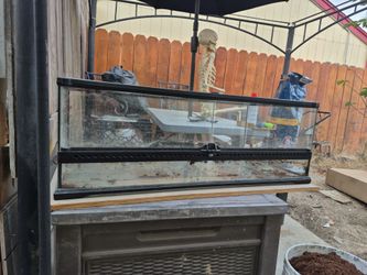 Reptile enclosure