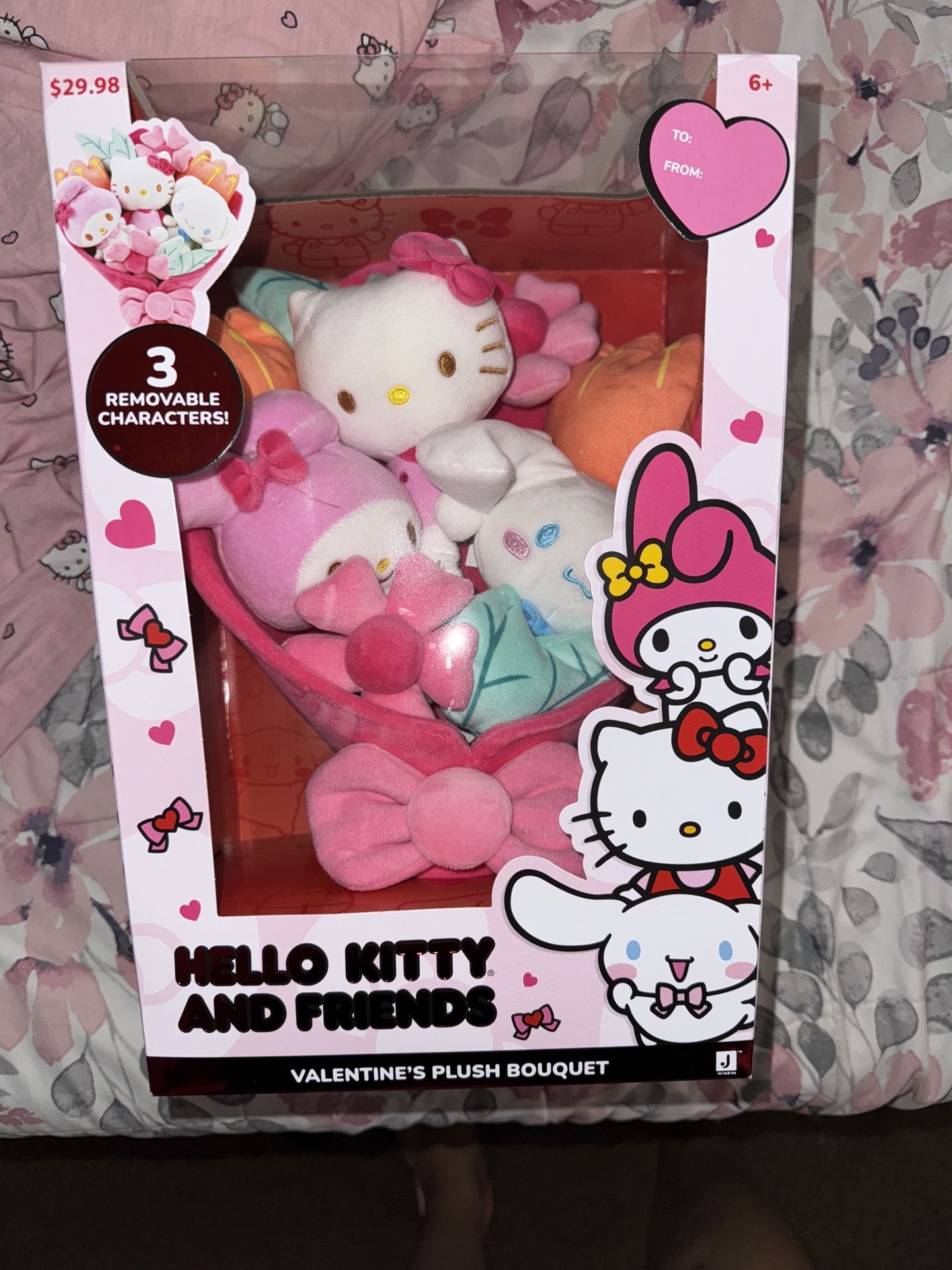 Hello Kitty Valentine Bouquet