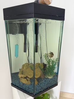 Fish tank with filter