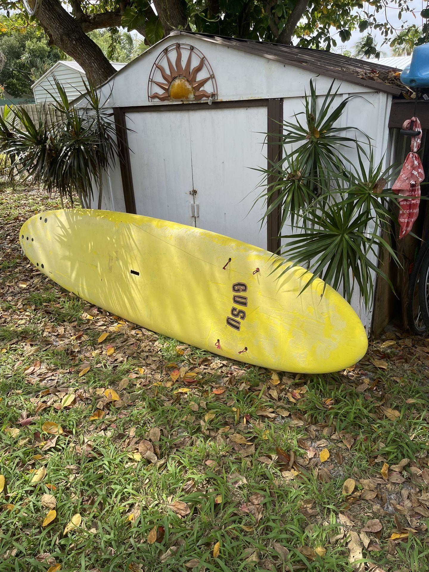 Paddle Board