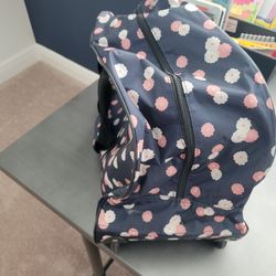 Mint travel bag with wheels and retractable handle paid $60 used once