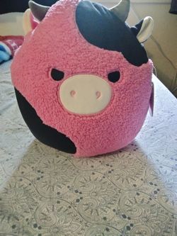 Girls toy squishmallows