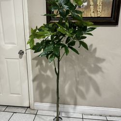 Faux Money Tree Almost 5 Feet Artificial Tree Indoor 5Ft Fake Money Tree Tall Floor Plants Artificial Spring Big Silk Trees Outdoor Pachira Aquatica f