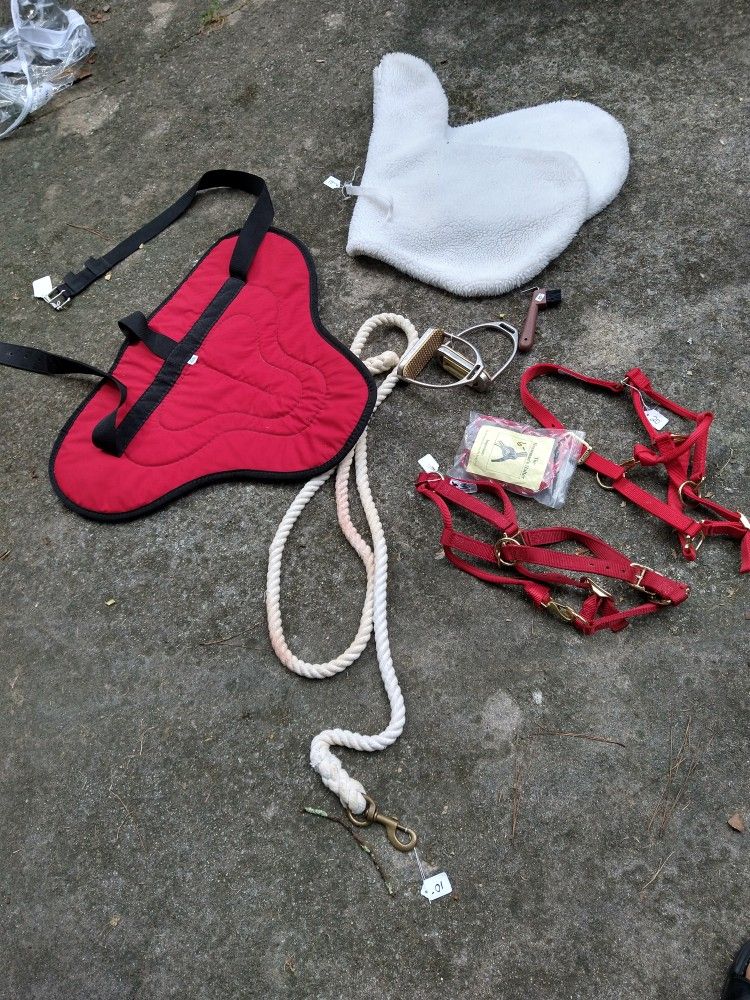 Horse Supplies. Prices Start At $6
