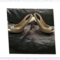 soldier involve Celebration Wear Sparkle with Elegant and Fashionable Looks