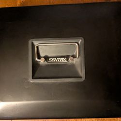 Sentry cash box