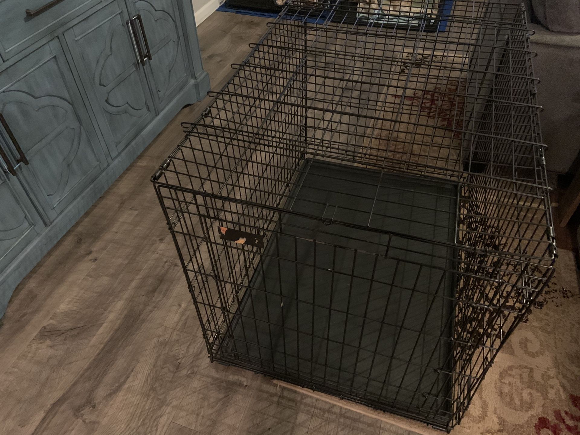 Large Dog Kennel