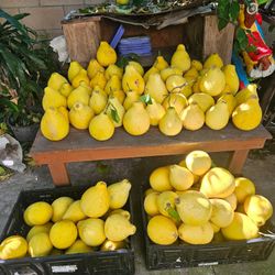 Vietnamese Pomelos 
