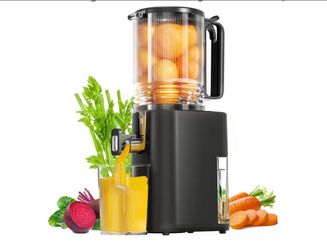 Slow masticating juicer